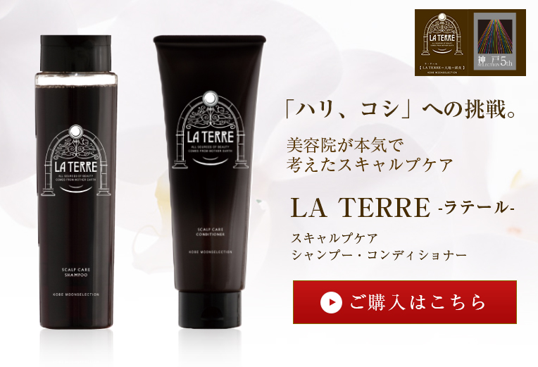 ラテール La Terre