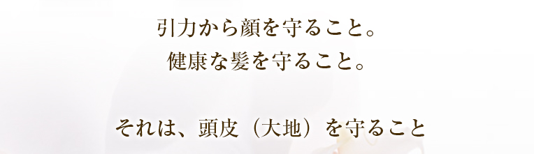 ラテール La Terre
