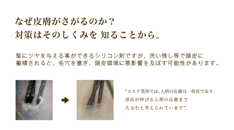 ラテール La Terre