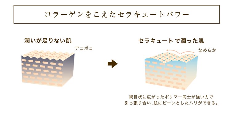 ラテール La Terre